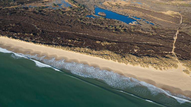 Aerial shot showing the sea, beach and dunes at Studland
